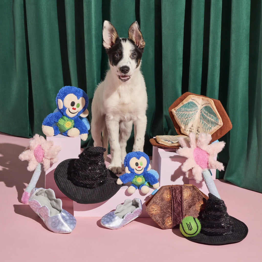 Nessa's Squeakin' Slipper Plush Enrichment Dog Toy